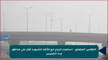 الطقس المتوقع.. استمرار الرياح مع كثافة الشبورة تؤثر على مناطق عدة الخميس